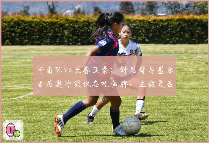 河南队vs长春亚泰:舒尼奇与塞尔吉尼奥冲突仅各吃黄牌,主裁是否过于软弱?