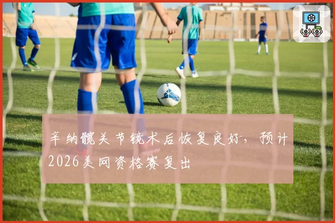 辛纳髋关节镜术后恢复良好，预计2026美网资格赛复出
