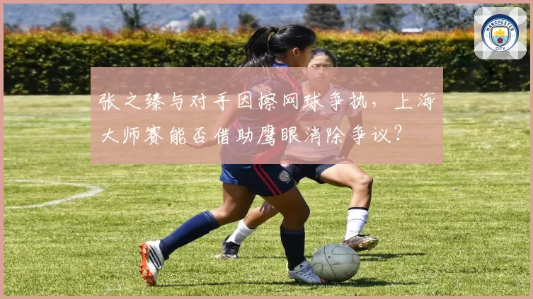 张之臻与对手因擦网球争执，上海大师赛能否借助鹰眼消除争议？