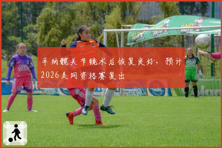 辛纳髋关节镜术后恢复良好，预计2026美网资格赛复出